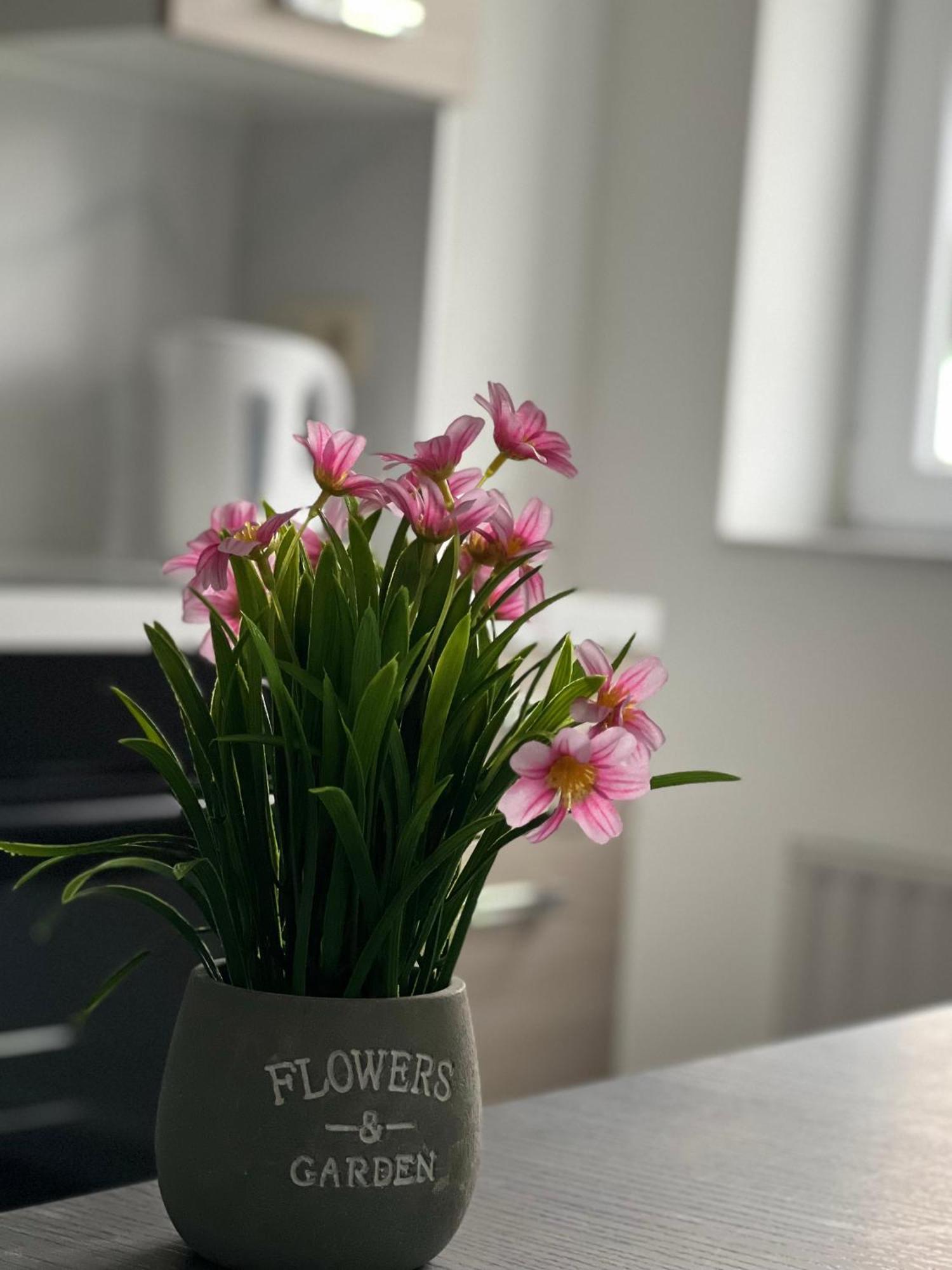 Maison D'Ans Dış mekan fotoğraf